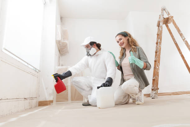 Best Asbestos and Lead Testing During Mold Inspection  in USA